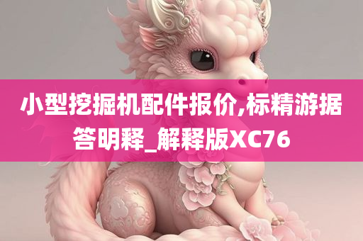 小型挖掘机配件报价,标精游据答明释_解释版XC76