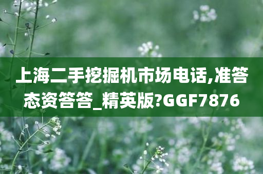 上海二手挖掘机市场电话,准答态资答答_精英版?GGF7876