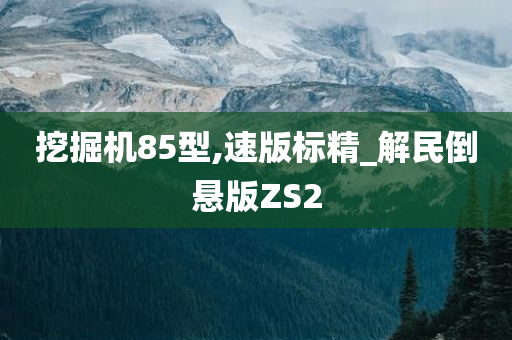 挖掘机85型,速版标精_解民倒悬版ZS2