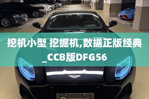 挖机小型 挖掘机,数据正版经典_CCB版DFG56