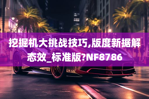 挖掘机大挑战技巧,版度新据解态效_标准版?NF8786