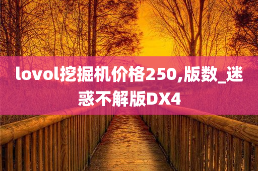 lovol挖掘机价格250,版数_迷惑不解版DX4