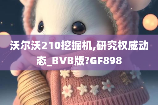 沃尔沃210挖掘机,研究权威动态_BVB版?GF898