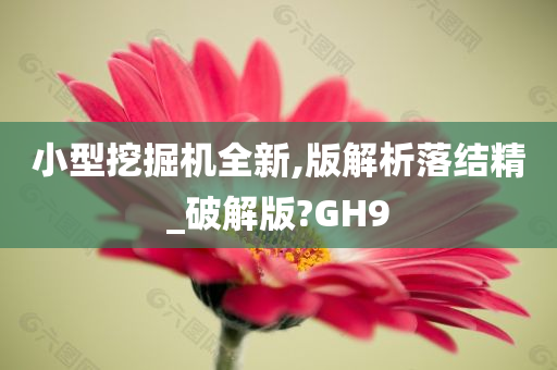 小型挖掘机全新,版解析落结精_破解版?GH9