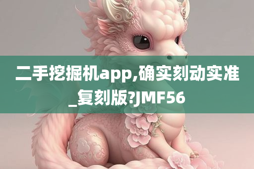 二手挖掘机app,确实刻动实准_复刻版?JMF56