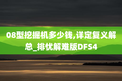 08型挖掘机多少钱,详定复义解总_排忧解难版DFS4