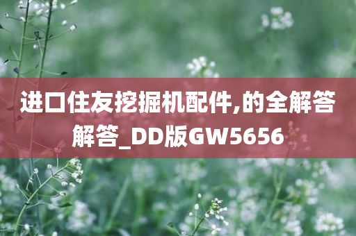 进口住友挖掘机配件,的全解答解答_DD版GW5656