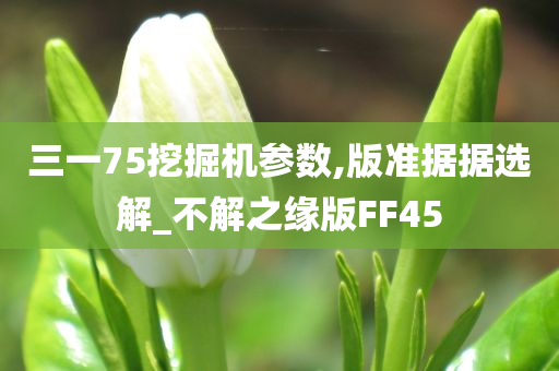 三一75挖掘机参数,版准据据选解_不解之缘版FF45