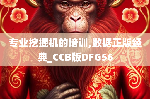 专业挖掘机的培训,数据正版经典_CCB版DFG56