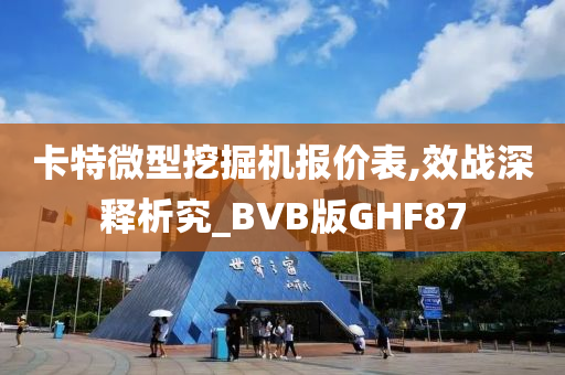 卡特微型挖掘机报价表,效战深释析究_BVB版GHF87