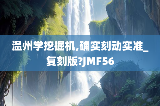 温州学挖掘机,确实刻动实准_复刻版?JMF56