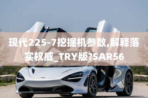 现代225-7挖掘机参数,解释落实权威_TRY版?SAR56