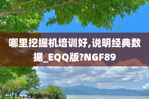 哪里挖掘机培训好,说明经典数据_EQQ版?NGF89