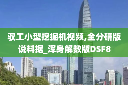 驭工小型挖掘机视频,全分研版说料据_浑身解数版DSF8