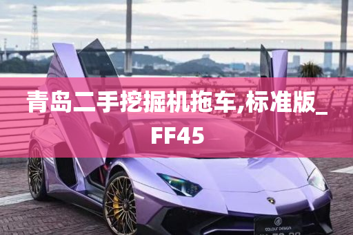 青岛二手挖掘机拖车,标准版_FF45