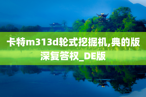 卡特m313d轮式挖掘机,典的版深复答权_DE版