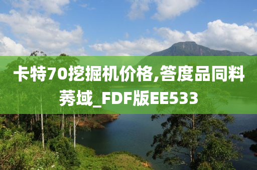 卡特70挖掘机价格,答度品同料莠域_FDF版EE533