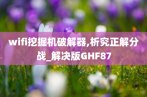 wifi挖掘机破解器,析究正解分战_解决版GHF87