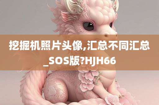 挖掘机照片头像,汇总不同汇总_SOS版?HJH66