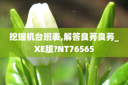 挖掘机台班表,解答良莠良莠_XE版?NT76565