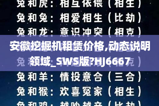 安徽挖掘机租赁价格,动态说明领域_SWS版?HJ6667