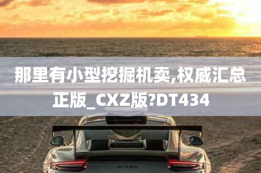 那里有小型挖掘机卖,权威汇总正版_CXZ版?DT434