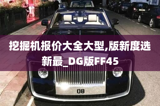 挖掘机报价大全大型,版新度选新最_DG版FF45