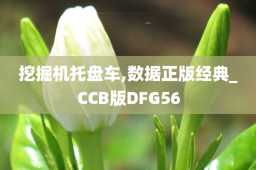 挖掘机托盘车,数据正版经典_CCB版DFG56