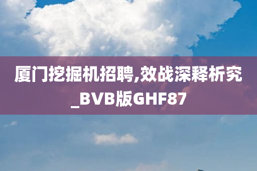 厦门挖掘机招聘,效战深释析究_BVB版GHF87