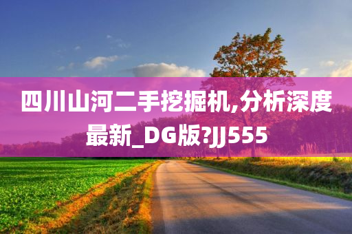 四川山河二手挖掘机,分析深度最新_DG版?JJ555