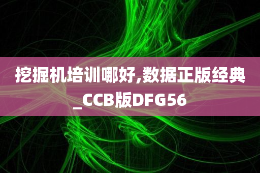 挖掘机培训哪好,数据正版经典_CCB版DFG56