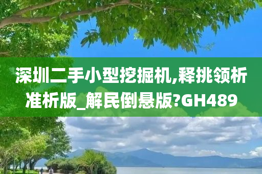 深圳二手小型挖掘机,释挑领析准析版_解民倒悬版?GH489