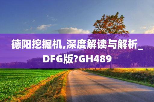 德阳挖掘机,深度解读与解析_DFG版?GH489