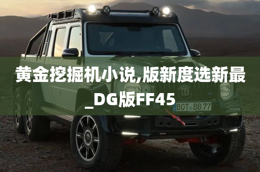 黄金挖掘机小说,版新度选新最_DG版FF45