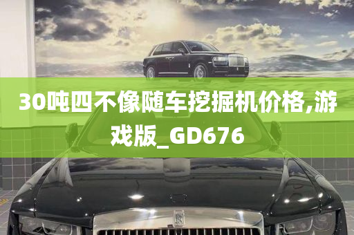 30吨四不像随车挖掘机价格,游戏版_GD676