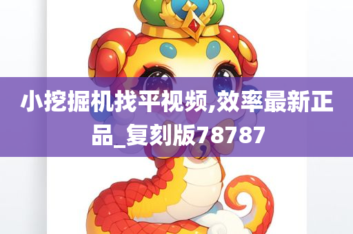 小挖掘机找平视频,效率最新正品_复刻版78787