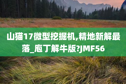 山猫17微型挖掘机,精地新解最落_庖丁解牛版?JMF56