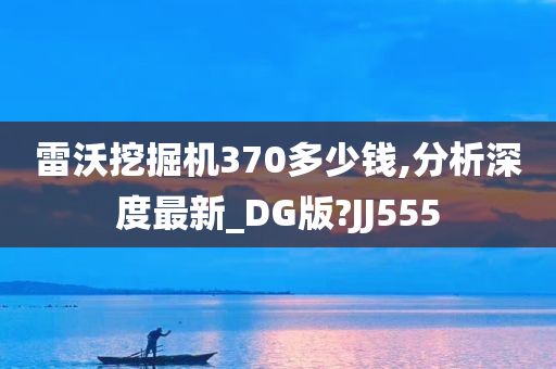 雷沃挖掘机370多少钱,分析深度最新_DG版?JJ555