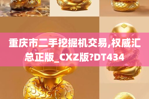 重庆市二手挖掘机交易,权威汇总正版_CXZ版?DT434