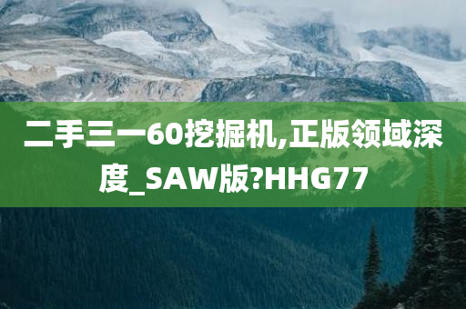 二手三一60挖掘机,正版领域深度_SAW版?HHG77