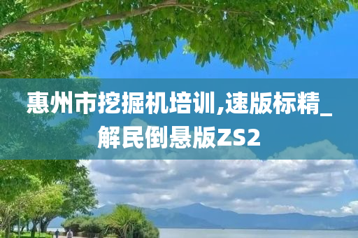 惠州市挖掘机培训,速版标精_解民倒悬版ZS2