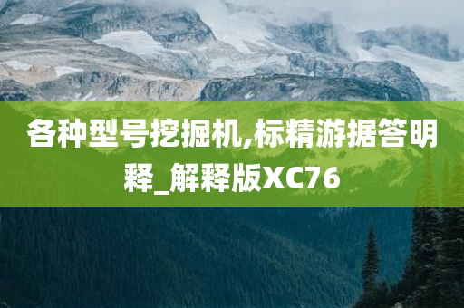 各种型号挖掘机,标精游据答明释_解释版XC76