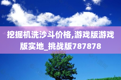 挖掘机洗沙斗价格,游戏版游戏版实地_挑战版787878