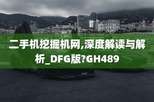 二手机挖掘机网,深度解读与解析_DFG版?GH489