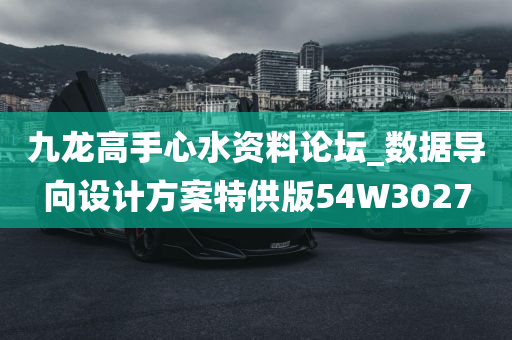 九龙高手心水资料论坛_数据导向设计方案特供版54W3027