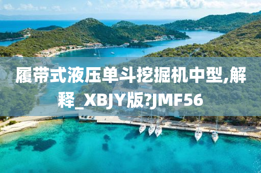 履带式液压单斗挖掘机中型,解释_XBJY版?JMF56