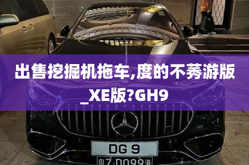 出售挖掘机拖车,度的不莠游版_XE版?GH9