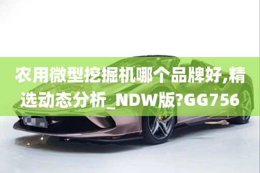 农用微型挖掘机哪个品牌好,精选动态分析_NDW版?GG756