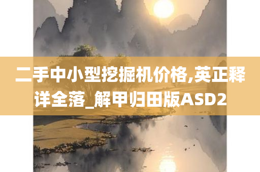 二手中小型挖掘机价格,英正释详全落_解甲归田版ASD2