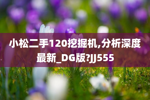 小松二手120挖掘机,分析深度最新_DG版?JJ555